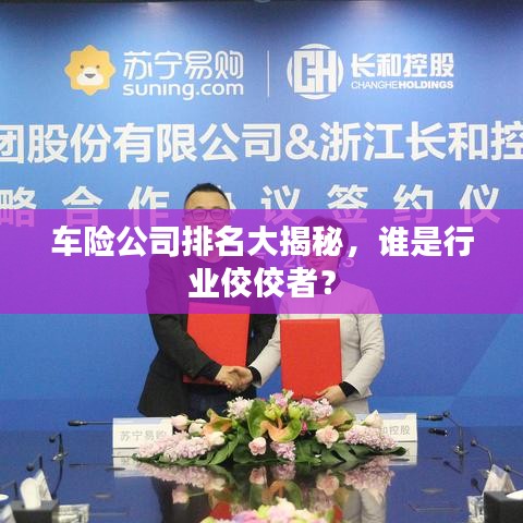 车险公司排名大揭秘，谁是行业佼佼者？