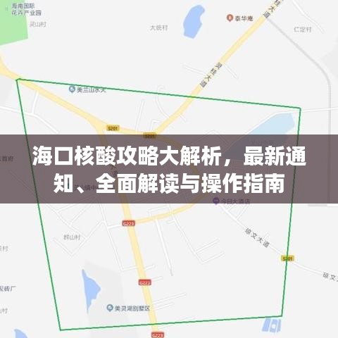 海口核酸攻略大解析，最新通知、全面解读与操作指南