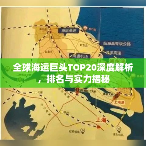 全球海运巨头TOP20深度解析，排名与实力揭秘