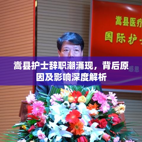 嵩县护士辞职潮涌现，背后原因及影响深度解析