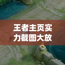 王者主页实力截图大放送，荣耀实力，一览无余！