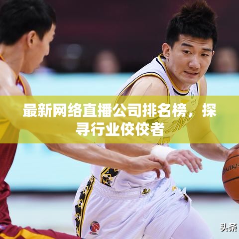 最新网络直播公司排名榜，探寻行业佼佼者
