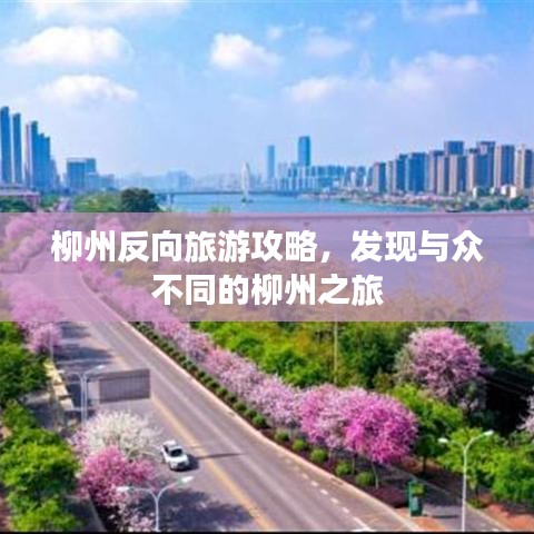 柳州反向旅游攻略，发现与众不同的柳州之旅