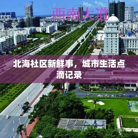 北海社区新鲜事，城市生活点滴记录
