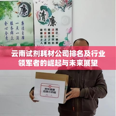 云南试剂耗材公司排名及行业领军者的崛起与未来展望
