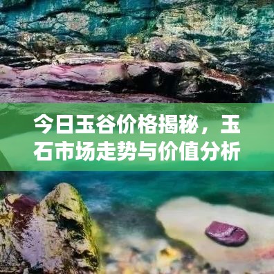今日玉谷价格揭秘，玉石市场走势与价值分析