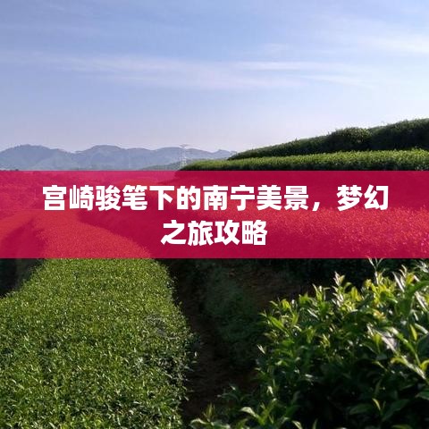 宫崎骏笔下的南宁美景，梦幻之旅攻略