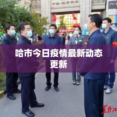 哈市今日疫情最新动态更新