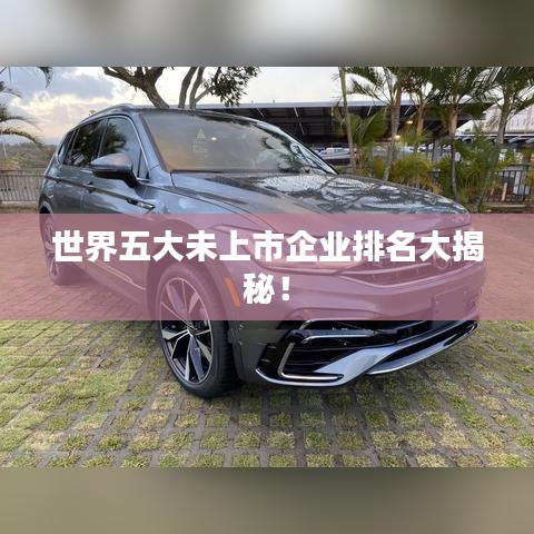 世界五大未上市企业排名大揭秘！