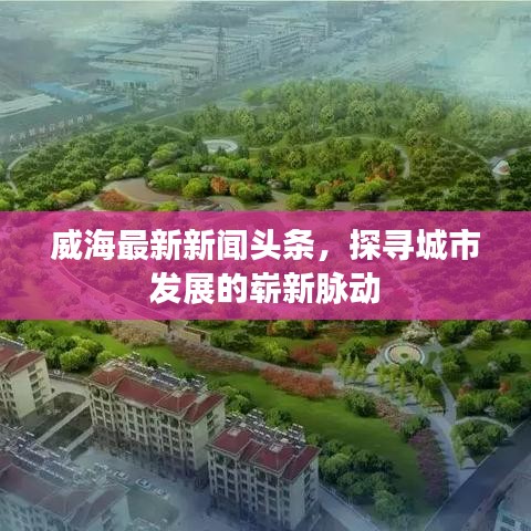 威海最新新闻头条，探寻城市发展的崭新脉动