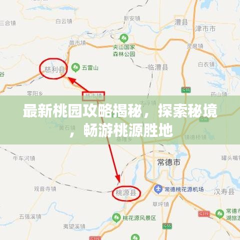 最新桃园攻略揭秘，探索秘境，畅游桃源胜地