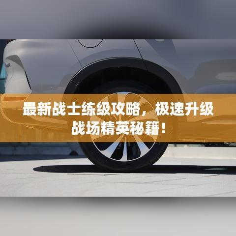 最新战士练级攻略，极速升级战场精英秘籍！