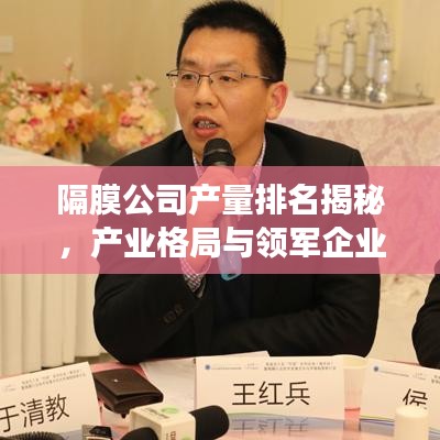 隔膜公司产量排名揭秘，产业格局与领军企业全景展示