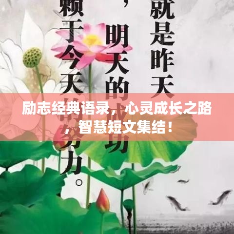 励志经典语录，心灵成长之路，智慧短文集结！