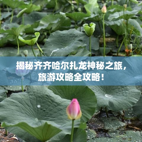 揭秘齐齐哈尔扎龙神秘之旅，旅游攻略全攻略！