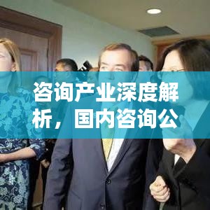 咨询产业深度解析，国内咨询公司权威排名榜单