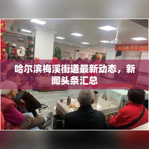 哈尔滨梅溪街道最新动态，新闻头条汇总