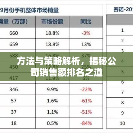 方法与策略解析，揭秘公司销售额排名之道