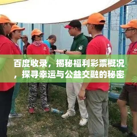 百度收录，揭秘福利彩票概况，探寻幸运与公益交融的秘密