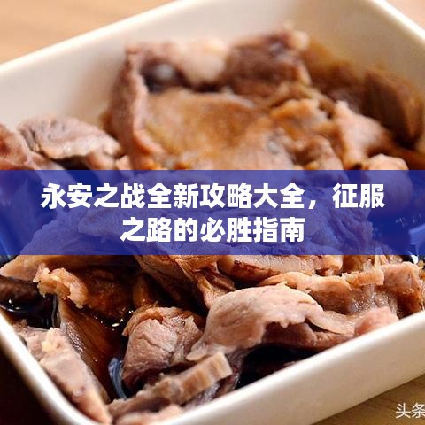 永安之战全新攻略大全，征服之路的必胜指南