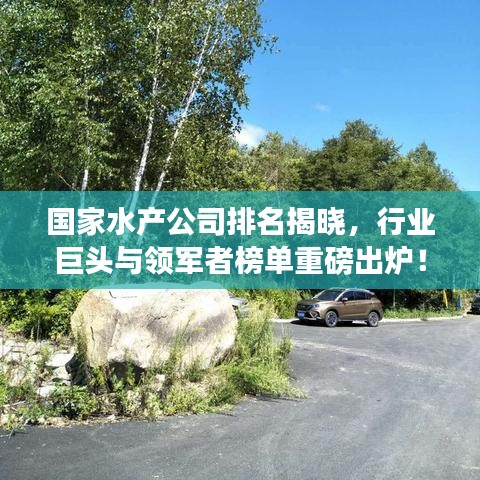 国家水产公司排名揭晓，行业巨头与领军者榜单重磅出炉！