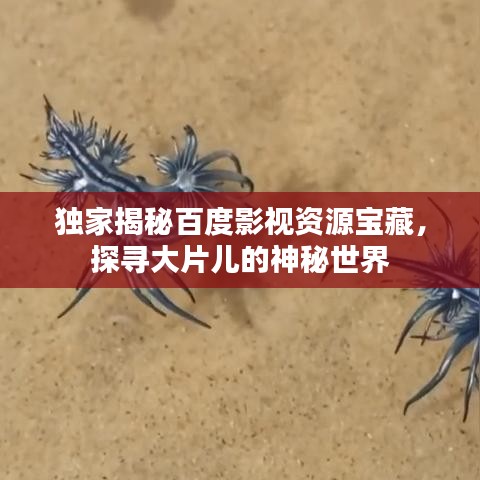 独家揭秘百度影视资源宝藏，探寻大片儿的神秘世界