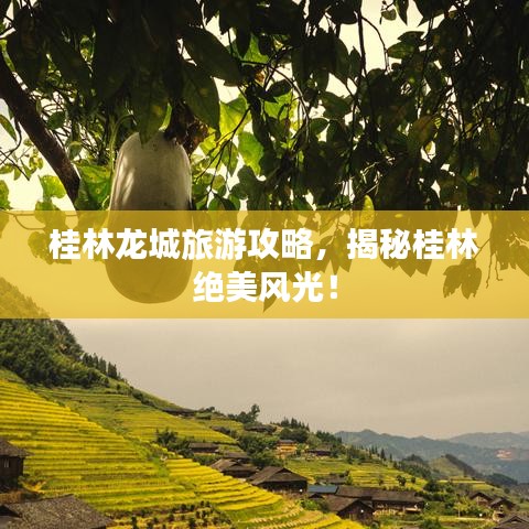 桂林龙城旅游攻略，揭秘桂林绝美风光！