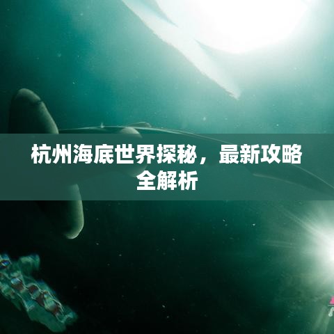 杭州海底世界探秘，最新攻略全解析