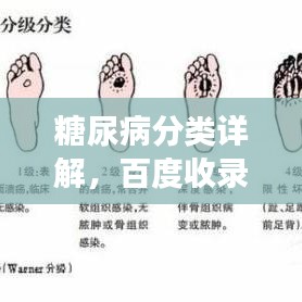 糖尿病分类详解，百度收录标准下的专业解读
