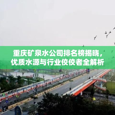 重庆矿泉水公司排名榜揭晓，优质水源与行业佼佼者全解析