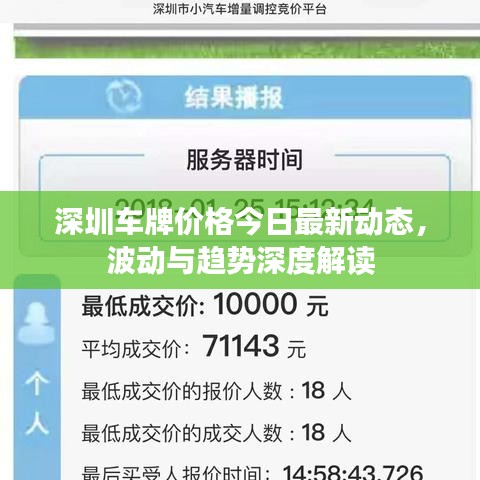 深圳车牌价格今日最新动态，波动与趋势深度解读