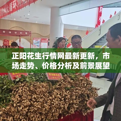 正阳花生行情网最新更新，市场走势、价格分析及前景展望