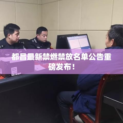 都昌最新禁燃禁放名单公告重磅发布！