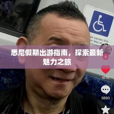 悉尼假期出游指南，探索最新魅力之旅