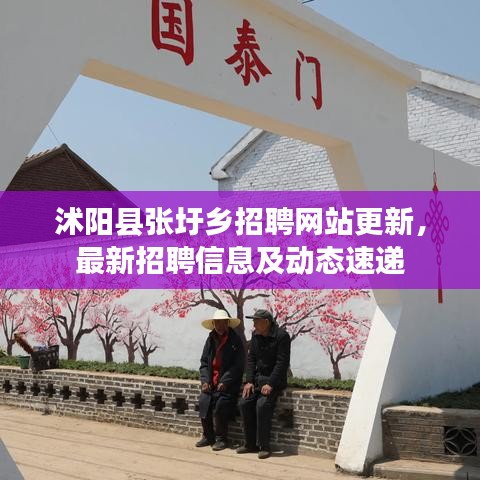沭阳县张圩乡招聘网站更新，最新招聘信息及动态速递