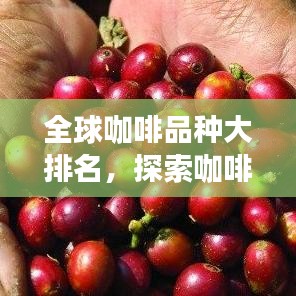全球咖啡品种大排名，探索咖啡世界的多元魅力