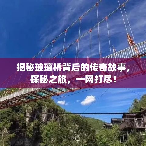 揭秘玻璃桥背后的传奇故事，探秘之旅，一网打尽！