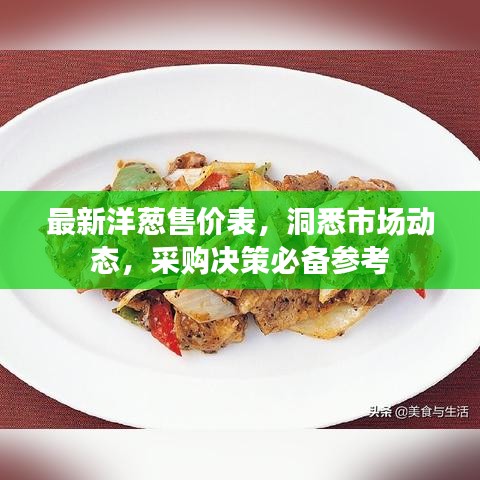 最新洋葱售价表，洞悉市场动态，采购决策必备参考