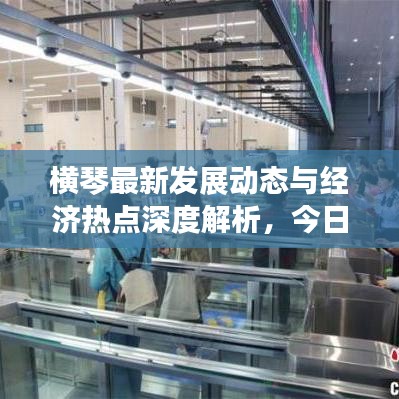横琴最新发展动态与经济热点深度解析，今日横琴新闻速递