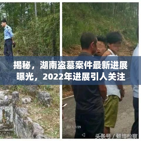 揭秘，湖南盗墓案件最新进展曝光，2022年进展引人关注