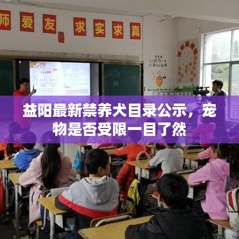 益阳最新禁养犬目录公示，宠物是否受限一目了然
