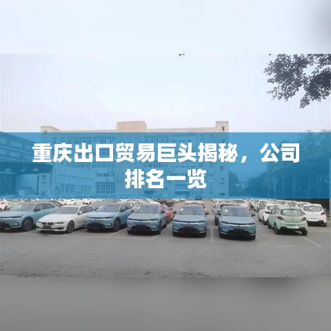 重庆出口贸易巨头揭秘，公司排名一览