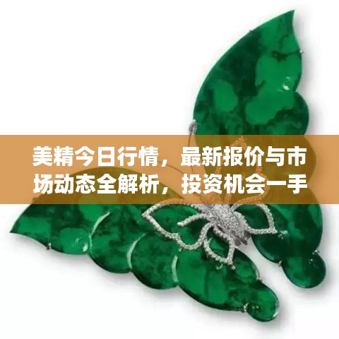 美精今日行情，最新报价与市场动态全解析，投资机会一手掌握