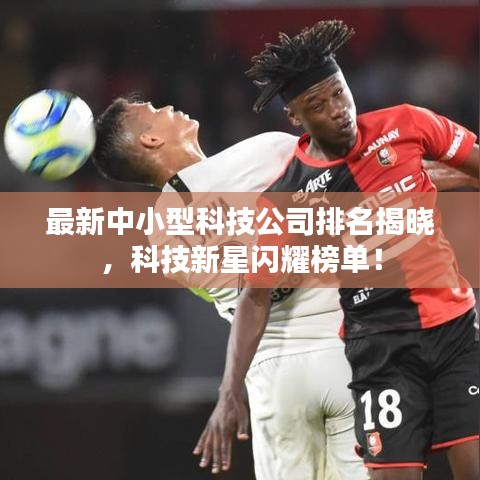 最新中小型科技公司排名揭晓，科技新星闪耀榜单！