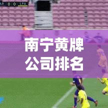 南宁黄牌公司排名大揭秘，探寻城市商业巨头霸主地位！