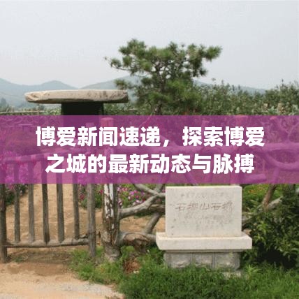 博爱新闻速递，探索博爱之城的最新动态与脉搏