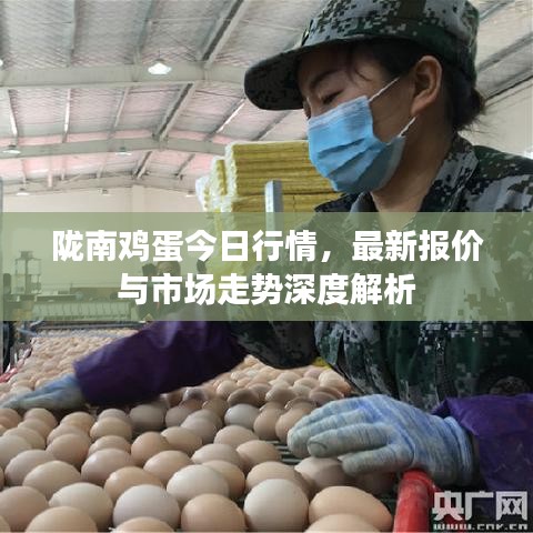 陇南鸡蛋今日行情，最新报价与市场走势深度解析