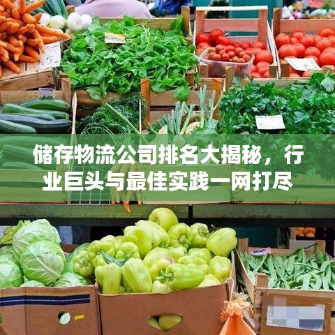 储存物流公司排名大揭秘，行业巨头与最佳实践一网打尽