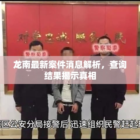 龙南最新案件消息解析，查询结果揭示真相
