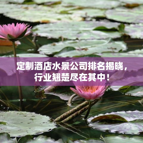 定制酒店水景公司排名揭晓，行业翘楚尽在其中！